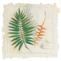 Botanical Study II Light #47398