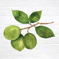 Citrus Garden II Shiplap #47405 Citrus Garden II Shiplap #47405