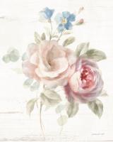 Cottage Garden IV #47484 Cottage Garden IV #47484