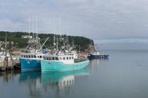 Bay of Fundy I #47837 Bay of Fundy I #47837