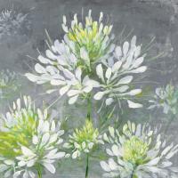 Farmhouse Cleome I #47857 Farmhouse Cleome I #47857