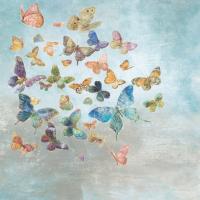 Beautiful Butterflies v3 Square #47868 Beautiful Butterflies v3 Square #47868