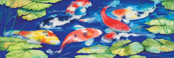 Koi #47975 Koi #47975