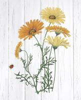 Botanical Bouquet on Wood I #48012 Botanical Bouquet on Wood I #48012