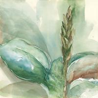 Exotic Flower I #48030 Exotic Flower I #48030