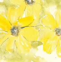 Sunshine Cosmos II #48035 Sunshine Cosmos II #48035