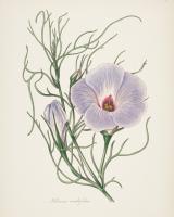 Antique Botanical XXX Cream #48123 Antique Botanical XXX Cream #48123