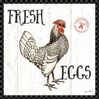 Free Range Fresh IV Checker Border #48174-12x12 Free Range Fresh IV Checker Border #48174-12x12