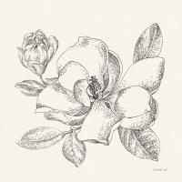 Flower Sketches II #48397 Flower Sketches II #48397