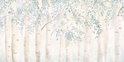 Fresh Forest #48410