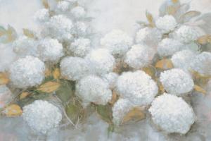 Annabelle Hydrangeas Blue Gray Crop #48420