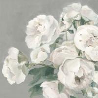 Peonies on Gray #48521 Peonies on Gray #48521