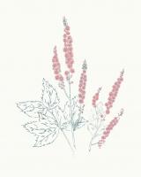 Flowers on White VII Contemporary Bright #48805 Flowers on White VII Contemporary Bright #48805