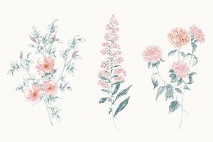 Flowers on White IX Contemporary Bright #48807 Flowers on White IX Contemporary Bright #48807