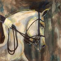 Dressage #49340 Dressage #49340