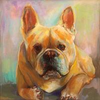 Frenchie #49341 Frenchie #49341