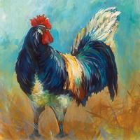 Cocky #49344 Cocky #49344