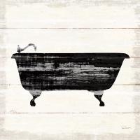 Shiplap Bath I #49538