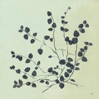 Botanical Study VII Sage #49729 Botanical Study VII Sage #49729