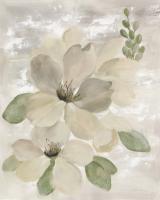 White on White Floral II Sage #49790 White on White Floral II Sage #49790