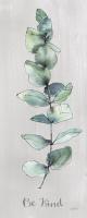 Modern Farmhouse XIV Kind #49800 Modern Farmhouse XIV Kind #49800
