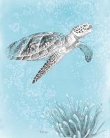 Coastal Sea Life I v2 #49917 Coastal Sea Life I v2 #49917