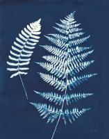 Nature By The Lake - Ferns V Crop #50087 Nature By The Lake - Ferns V Crop #50087