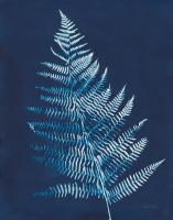 Nature By The Lake - Ferns VI Crop #50088 Nature By The Lake - Ferns VI Crop #50088