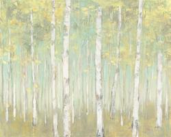 Sylvan Birches #50142 Sylvan Birches #50142