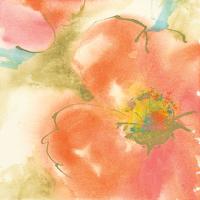 Coral Poppy I #50157 Coral Poppy I #50157