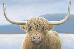 Highland Cow #50229 Highland Cow #50229