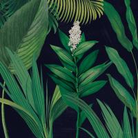Dramatic Tropical I #50353