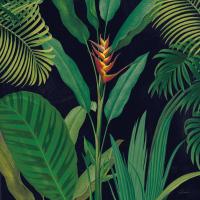 Dramatic Tropical II #50354
