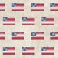 Patriotic Dark Pattern V #50677 Patriotic Dark Pattern V #50677