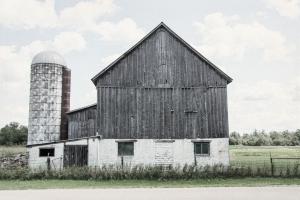Weathered III #50757 Weathered III #50757
