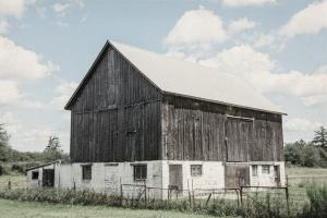 Weathered IV #50758 Weathered IV #50758