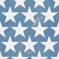 Stars and Stripes Dark Pattern V #50793 Stars and Stripes Dark Pattern V #50793