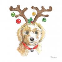 Holiday Paws VI on White #50884 Holiday Paws VI on White #50884