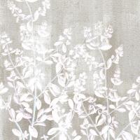Neutral Botanical Square 1 #50950 Neutral Botanical Square 1 #50950