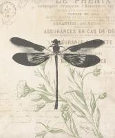 Lightened Vintage Insects #50953 Lightened Vintage Insects #50953