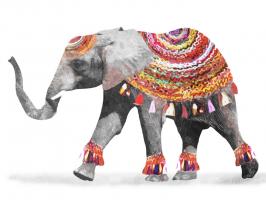 Dressed Elephant #50958 Dressed Elephant #50958