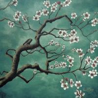 Almond Tree #50963 Almond Tree #50963