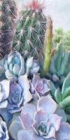 Succulent Garden 1 #51288 Succulent Garden 1 #51288