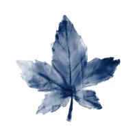 Navy Leaf Print 1 #51334 Navy Leaf Print 1 #51334