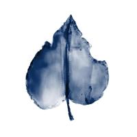 Navy Leaf Print 2 #51335 Navy Leaf Print 2 #51335
