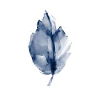 Navy Leaf Print 3 #51336 Navy Leaf Print 3 #51336