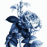 White Indigo 1 v2 #51345 White Indigo 1 v2 #51345