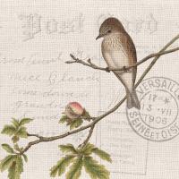Summer Song 1 #51352 Summer Song 1 #51352