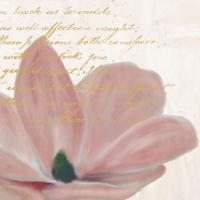Magnolia 1 #51360 Magnolia 1 #51360