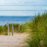 Beach Ready 4 #51395 Beach Ready 4 #51395